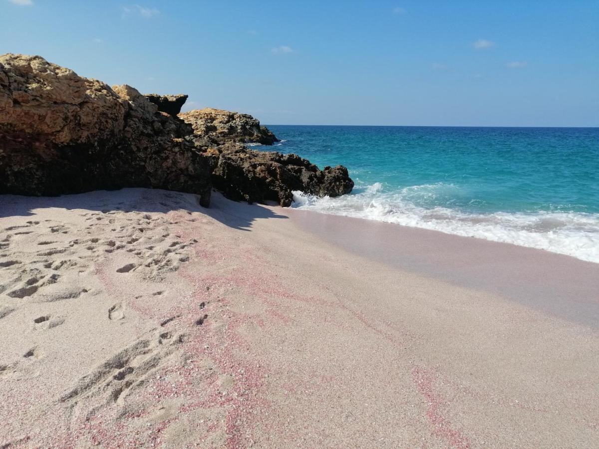 Ras Al Hadd Orchid Διαμέρισμα Εξωτερικό φωτογραφία